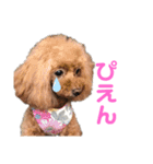 こももとローズ（個別スタンプ：6）