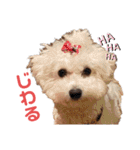 こももとローズ（個別スタンプ：10）