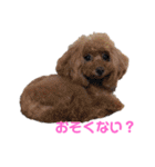 こももとローズ（個別スタンプ：29）