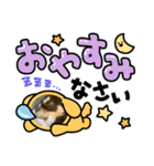 犬三昧ver3（個別スタンプ：2）
