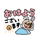 犬三昧ver3（個別スタンプ：3）