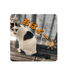 ゲンの1日（個別スタンプ：3）