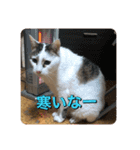 ゲンの1日（個別スタンプ：12）