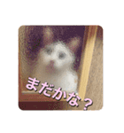 ゲンの1日（個別スタンプ：13）