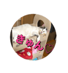 ゲンの1日（個別スタンプ：14）