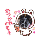 ボストンテリア スタンプ（個別スタンプ：15）