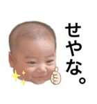 Domodom（個別スタンプ：6）
