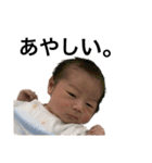 Domodom（個別スタンプ：12）