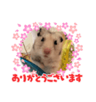 ハムスターのチューチュー（個別スタンプ：10）