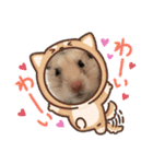 ハムスターのチューチュー（個別スタンプ：12）