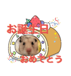 ハムスターのチューチュー（個別スタンプ：16）