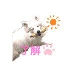 Alice.家の愉快な仲間たちスタンプ（個別スタンプ：1）