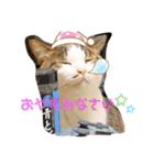 Alice.家の愉快な仲間たちスタンプ（個別スタンプ：4）