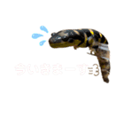 Alice.家の愉快な仲間たちスタンプ（個別スタンプ：6）