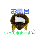 Alice.家の愉快な仲間たちスタンプ（個別スタンプ：13）