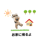 ウェルシュテリア ♡ジェリーさんの1日⑨（個別スタンプ：7）