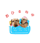 ウェルシュテリア ♡ジェリーさんの1日⑨（個別スタンプ：9）