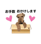 ウェルシュテリア ♡ジェリーさんの1日⑨（個別スタンプ：16）