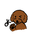 トイプードルのとみ子ちゃん（個別スタンプ：2）