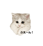 あむしゃ〜ん（個別スタンプ：4）