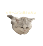 あむしゃ〜ん（個別スタンプ：9）