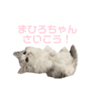 あむしゃ〜ん（個別スタンプ：14）