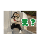 ぽむくんです。（個別スタンプ：24）