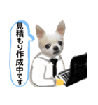 チワワのミルキー②（個別スタンプ：21）