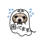 チワワのミルキー②（個別スタンプ：28）