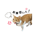 ふにゃぷにちゃん（個別スタンプ：2）