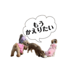 おひめの忙しい日常（個別スタンプ：11）