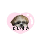 おひめの忙しい日常（個別スタンプ：24）