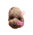 プルんすでプルんす（個別スタンプ：1）