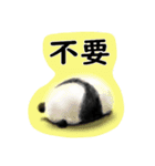 パンダちゃんの思うこと（個別スタンプ：4）
