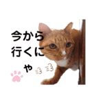 かわいー子たち♥（個別スタンプ：13）