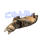 らとびじ4（個別スタンプ：5）