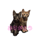 らとびじ4（個別スタンプ：8）
