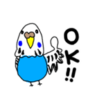 インコのハルとメメ32個（個別スタンプ：1）