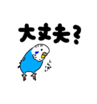 インコのハルとメメ32個（個別スタンプ：9）