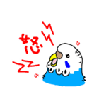 インコのハルとメメ32個（個別スタンプ：15）