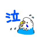 インコのハルとメメ32個（個別スタンプ：16）