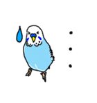 インコのハルとメメ32個（個別スタンプ：17）