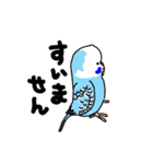 インコのハルとメメ32個（個別スタンプ：19）