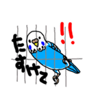 インコのハルとメメ32個（個別スタンプ：32）