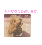ティナのスタンプ19（個別スタンプ：1）