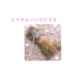 ティナのスタンプ19（個別スタンプ：3）