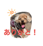 れおナルド（個別スタンプ：1）