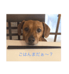 うちのミントくん（個別スタンプ：2）