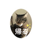 keecoco（個別スタンプ：2）