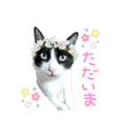 にゃんぴぃすたんぷ（個別スタンプ：11）